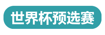 世界杯预选赛